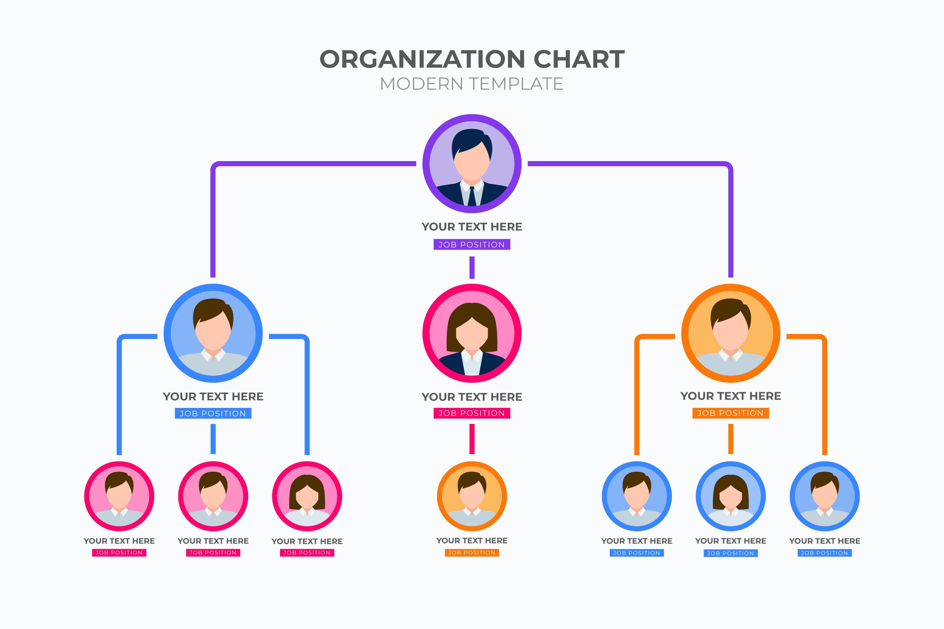 Organization Structure Diagram